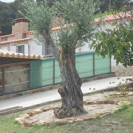 Casa de Férias Monte - Local